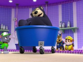Paw Patrol