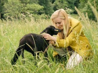 Zimmer mit Stall: Feuer unterm Dach