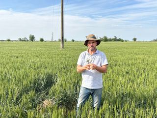 Argentinien im Teufelskreis