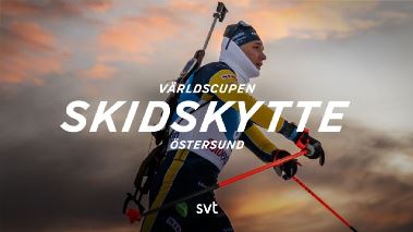 Skidskytte: Vaerldscupen
