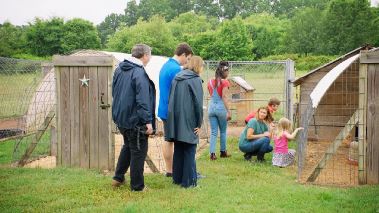 Homegrown - Aus Liebe zum Garten