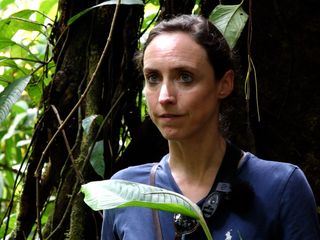 Adel zwischen Maerchen und Moderne