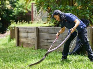 Die Schlangenfaengerin - Gefahr Down Under