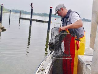 Schleswig-Holstein - Zwei Meere, ein Land