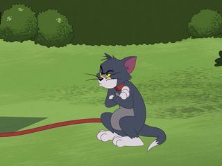 Die Tom und Jerry Show