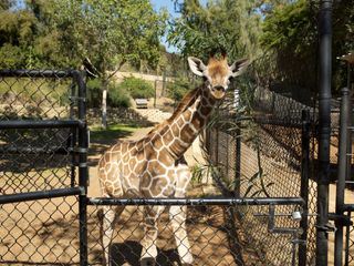 San Diego Zoo