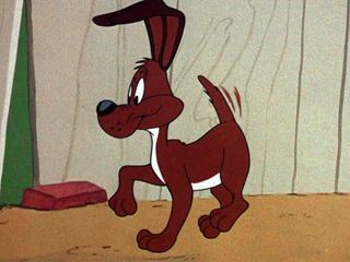 Bugs Bunny & Looney Tunes Bugs Bunny & Looney Tunes