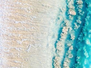 Ningaloo: Australiens Ozeanwunder
