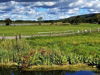 Draussen! Mit Uschi Disl durch Westschweden