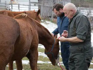 Der unglaubliche Dr. Pol