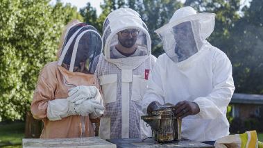 Homegrown - Aus Liebe zum Garten