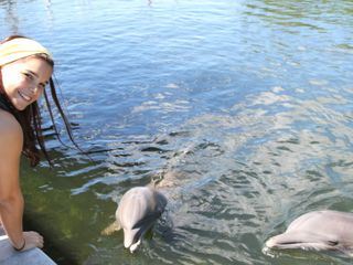 Anna und die wilden Tiere