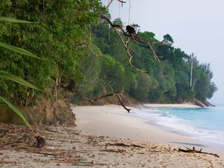 Die Nikobaren - Auferstehung eines Archipels Die Nikobaren - Auferstehung eines Archipels