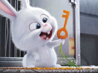 Pets - Vita da animali