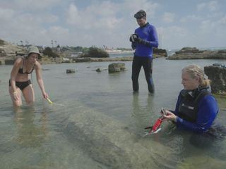 Die verlorenen Schaetze der Bibel