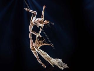 42. Weltfestival des Zirkus von Morgen