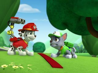 Paw Patrol: Helfer auf vier Pfoten