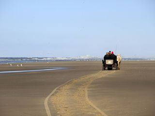 Nordseereport - Juist hinter den Kulissen