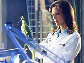 CSI: Miami