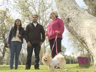 Kleine Freunde, grosse Plagen