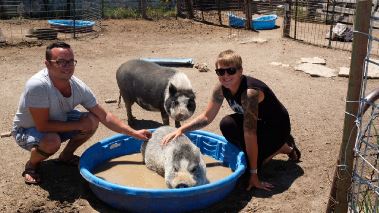 Tierarzt Dr. Jeff - Der Rocky Mountain Doc