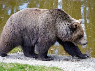 Rund um den Ottensteiner Stausee