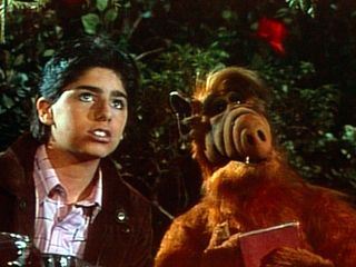 ALF