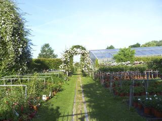 Bad Nauheimer Gartenfreuden