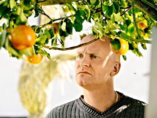 Adams æbler Adams æbler