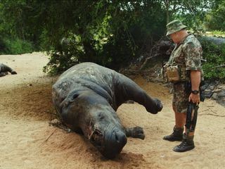Bis zum letzten Nashorn