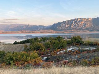 Die Welt der Gewuerze