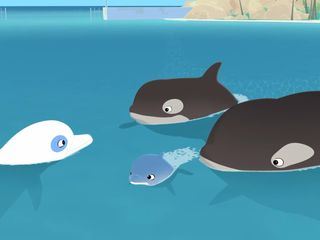 Zoom - Der weisse Delfin