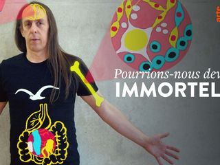 42 - Die Antwort auf fast alles