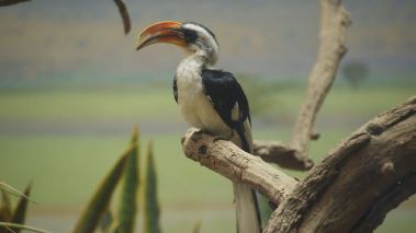 Bronx Zoo - Tierpark der Superlative