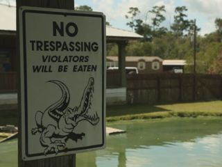 Lone Star Law - Die Gesetzeshueter von Texas