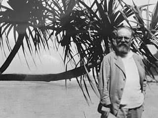 Henri Matisse - Von der Reise zur Kunst