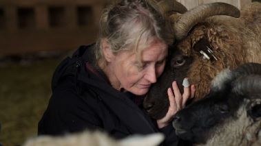 Jons Farm - Abenteuer Bauernhof