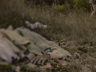 Cold Case Files - Beweismittel DNA