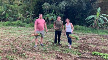 Caribbean Life – Traumhaus gesucht