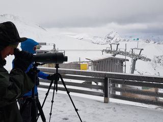 Birdrace in Bayern - Wettrennen der Vogelzaehler