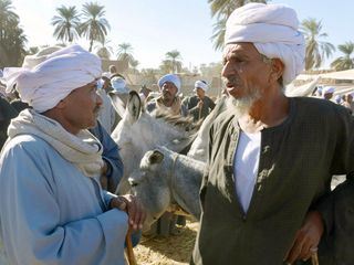 An den Ufern des Nil