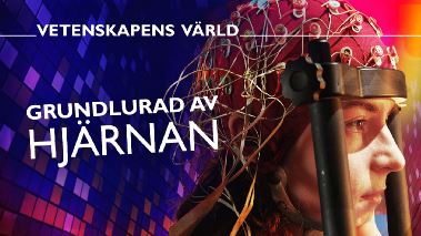 Vetenskapens vaerld: Grundlurad av hjaernan
