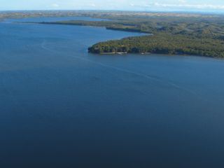 Madagaskars tierische Freaks