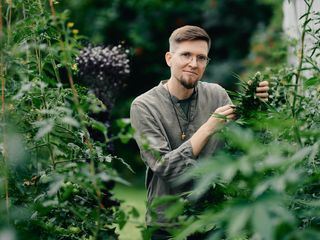 Cannabis - zwischen Rausch und Rettung