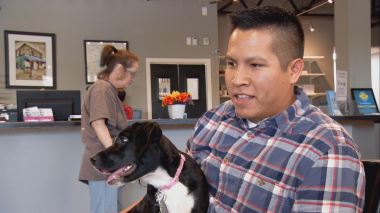 Tierarzt Dr. Jeff - Der Rocky Mountain Doc