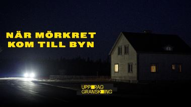 Uppdrag granskning