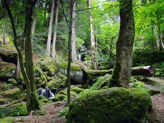 Schluchten, Klammen, Wasserfaelle - Wilde Wasser in NÖ
