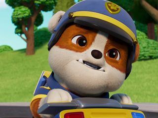 Paw Patrol: Helfer auf vier Pfoten Paw Patrol: Helfer auf vier Pfoten