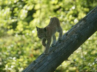 Unsere Berge Im Wandel