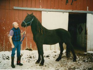 Der unglaubliche Dr. Pol